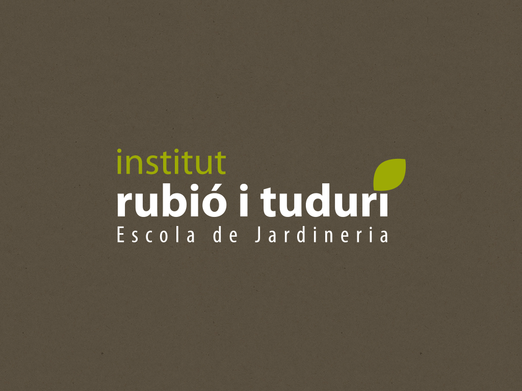 Logotip Institut Rubió i Tudurí