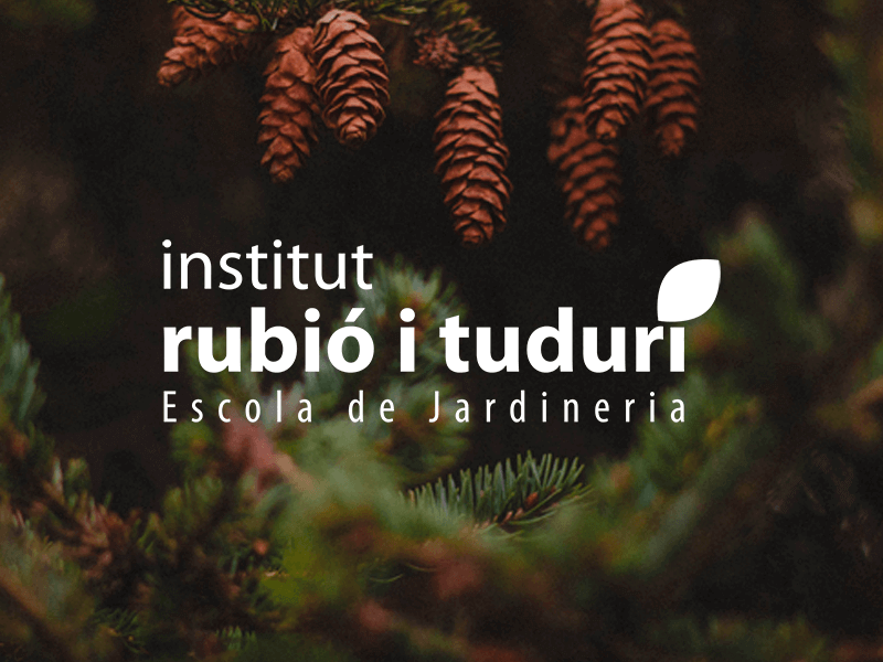 Logotip Institut Rubió i Tudurí