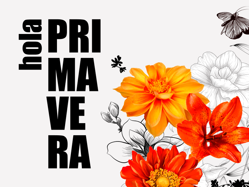 Banderola Hola Primavera 2019