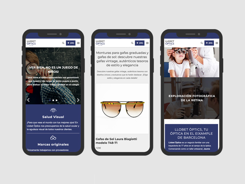 Pgina web Llobet ptics