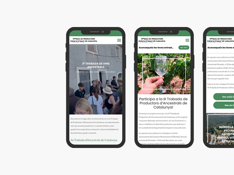 Pgina web Vinos Ancestrales