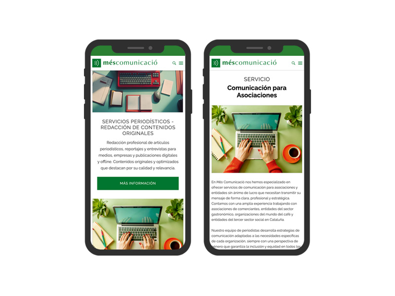 Pgina web Ms Comunicaci