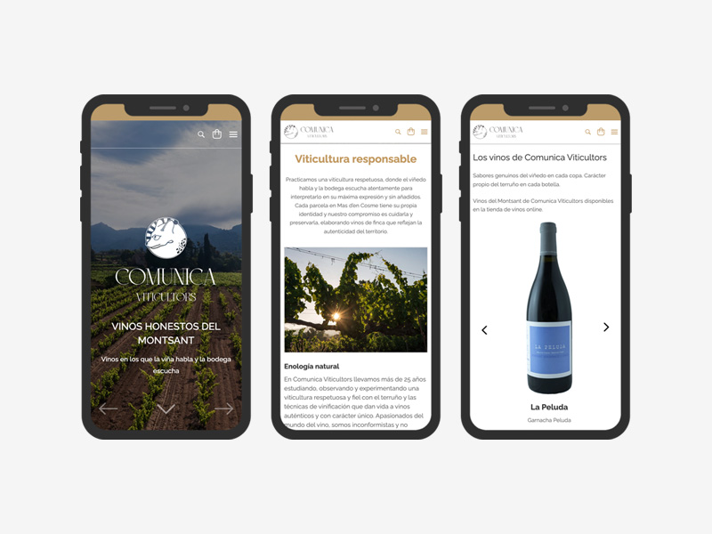 Pgina web Comunica Viticultors