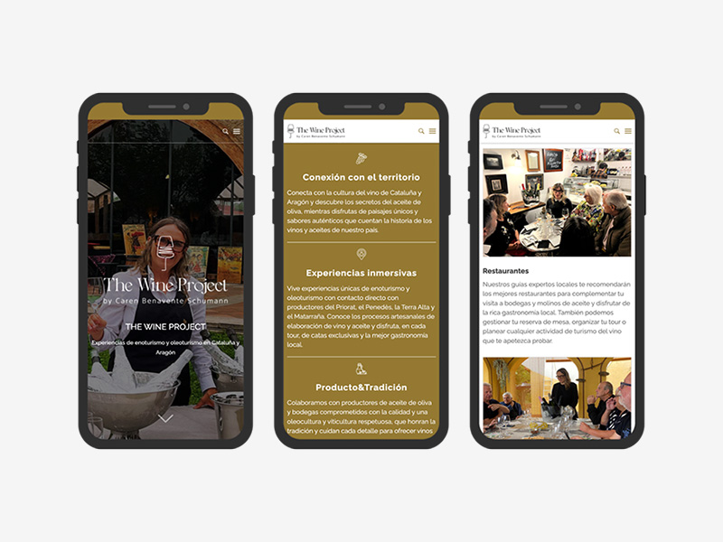 Pgina web The Wine Project