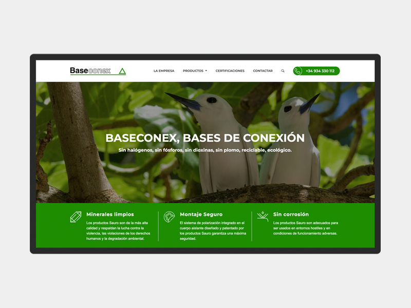 Pgina web Baseconex